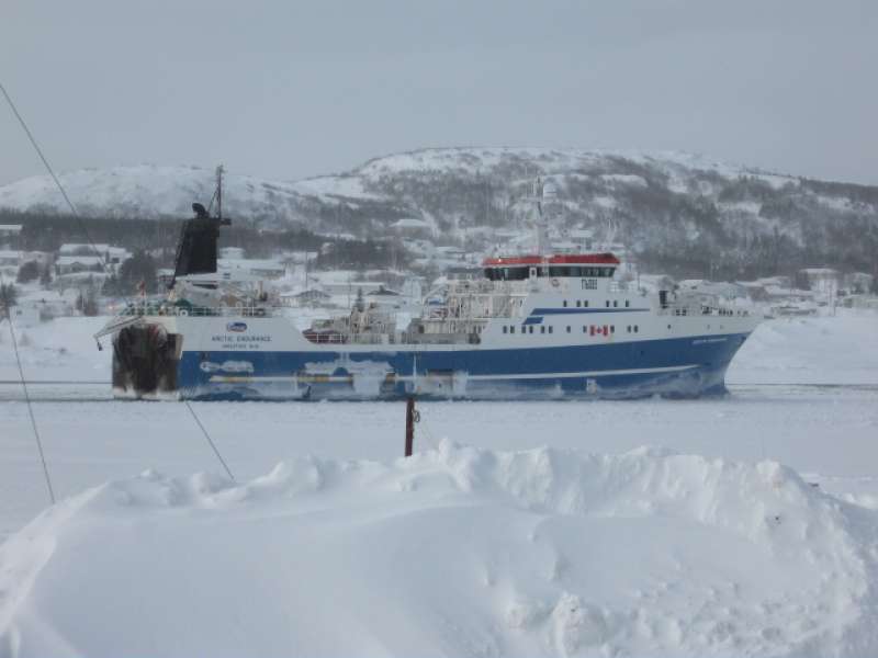 Arctic Endurance - IMO 9215725 - ShipSpotting.com - Ship Photos and Ship  Tracker